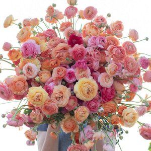 Meet your Posher, Sam W.